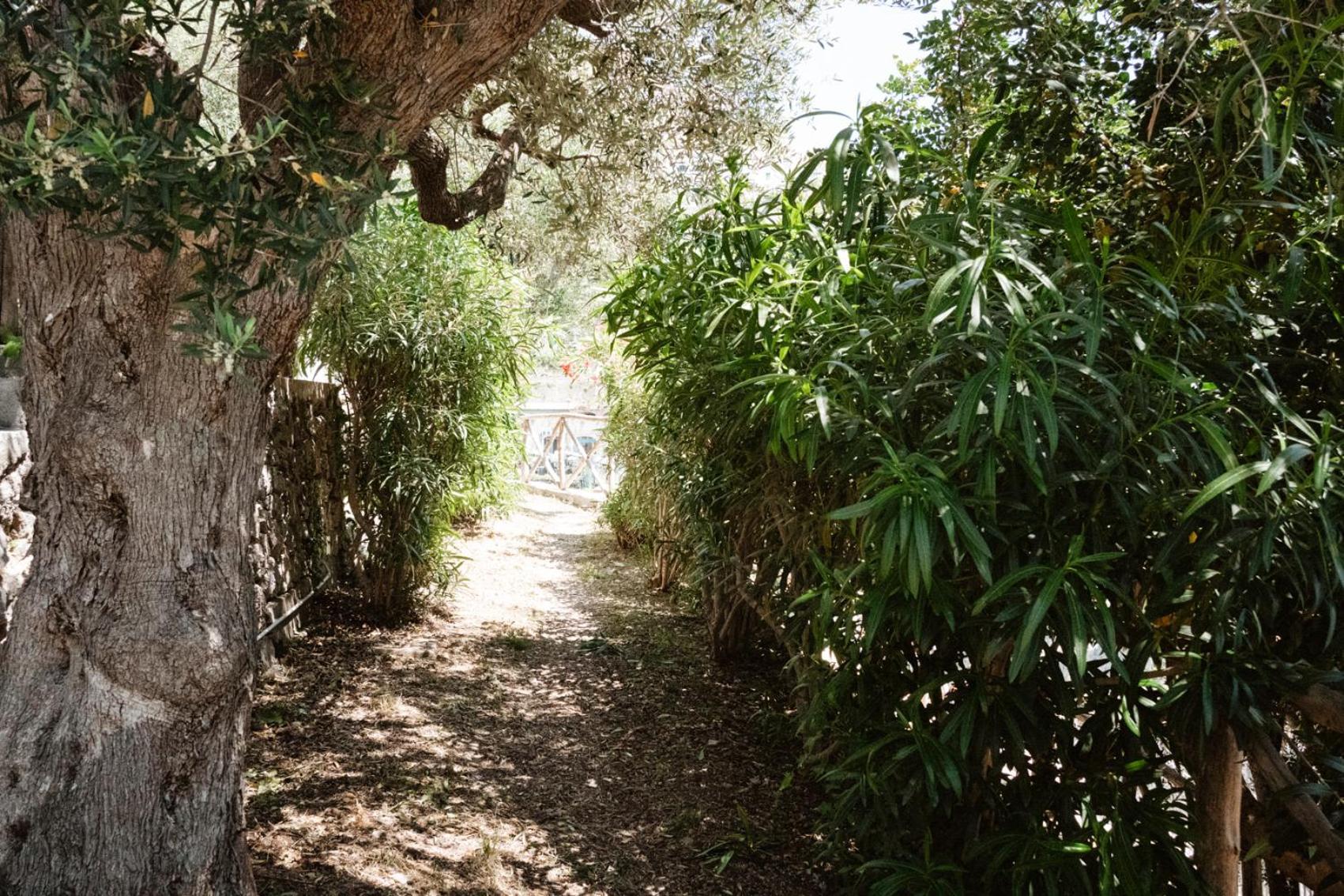 Amalfi Gioia House Διαμέρισμα Εξωτερικό φωτογραφία